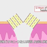 ビタブリッドCヘアーの特徴