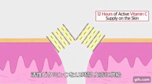 ビタブリッドCヘアーの特徴